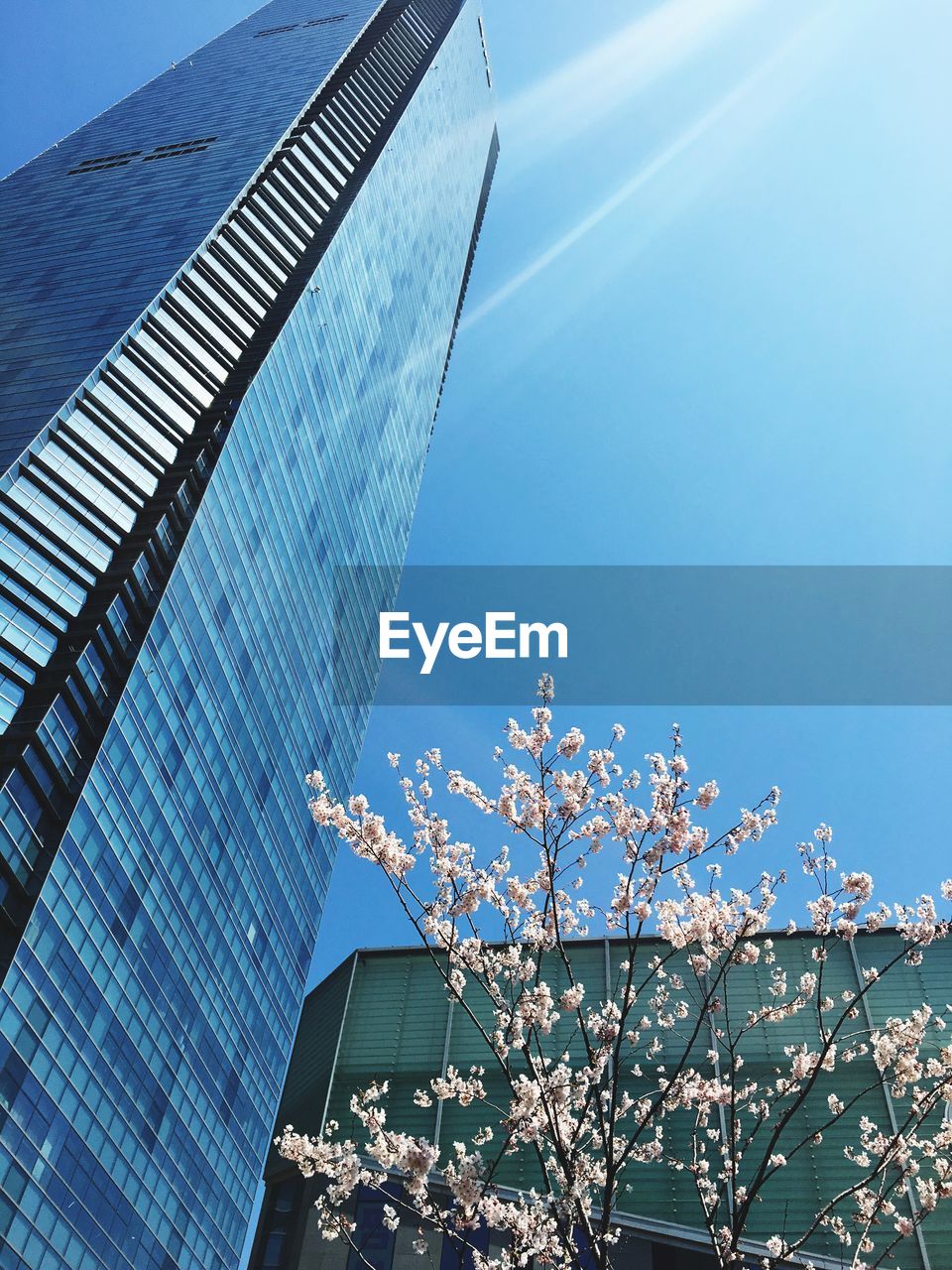 Low angle view of modern buildings against blue sky