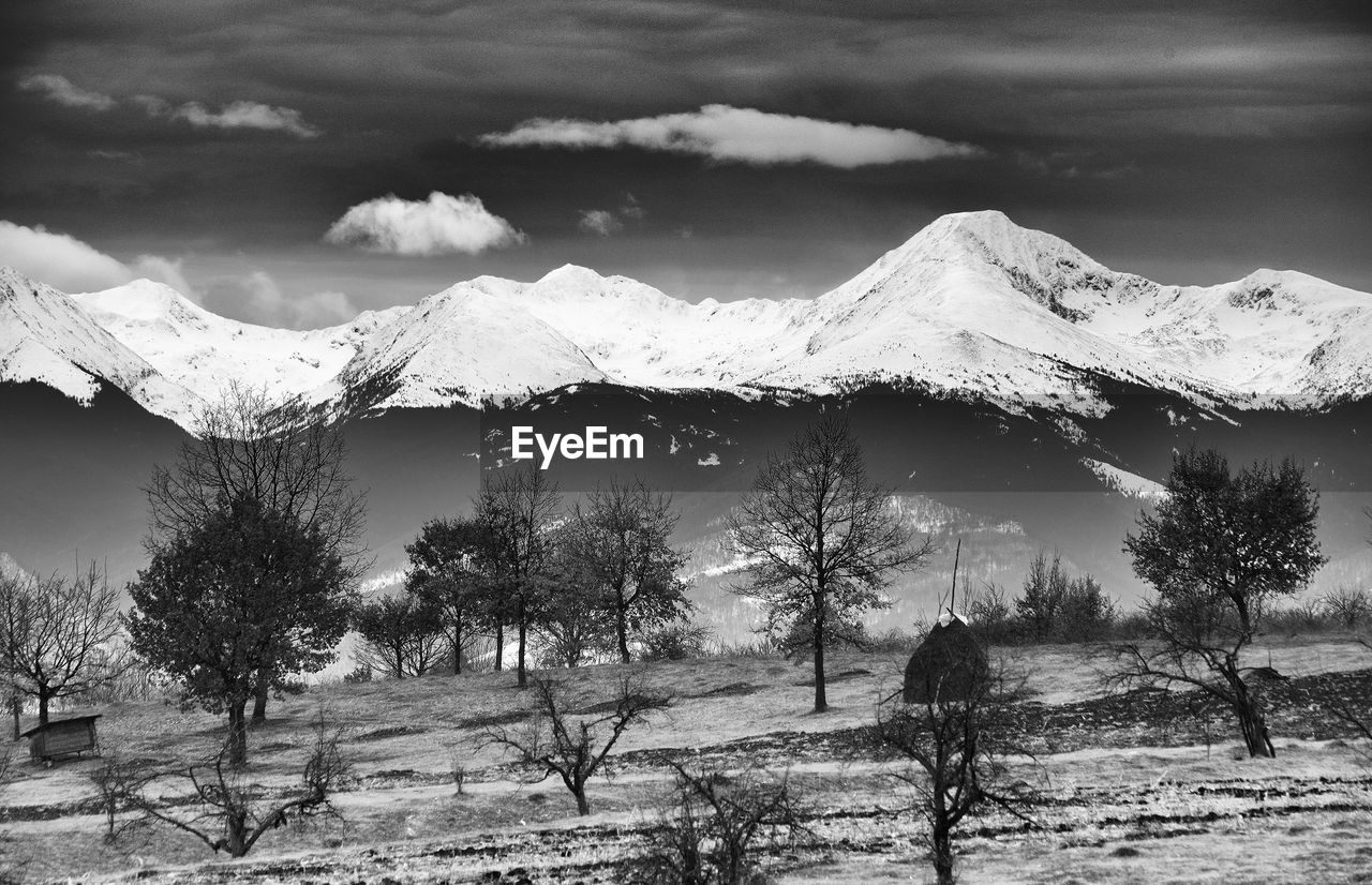 TREES AND SNOWCAPPED MOUNTAINS AGAINST SKY