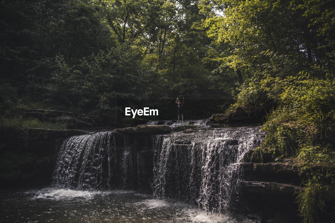 Scenic view of waterfall in forest