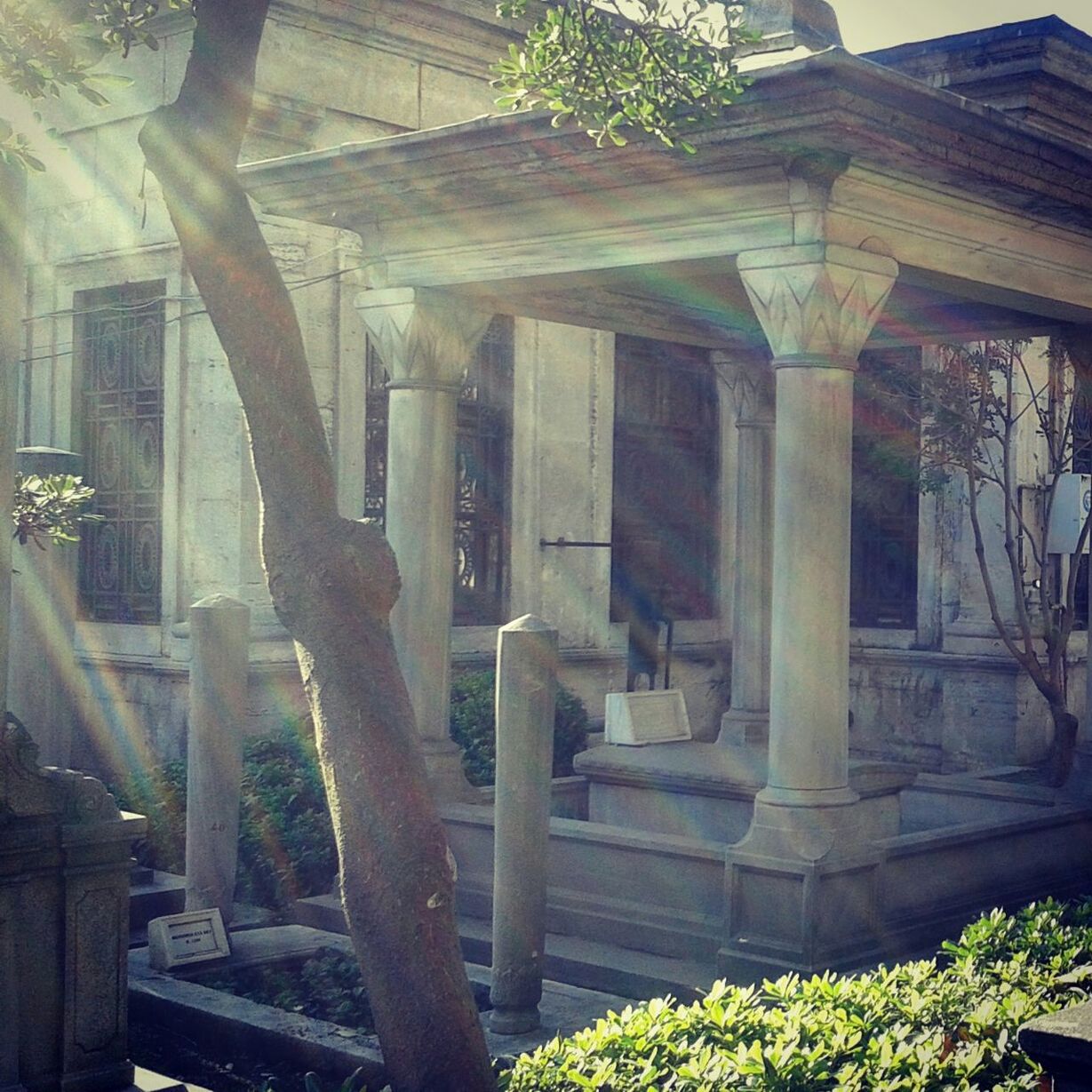 VIEW OF BUILDING WITH TREES IN BACKGROUND