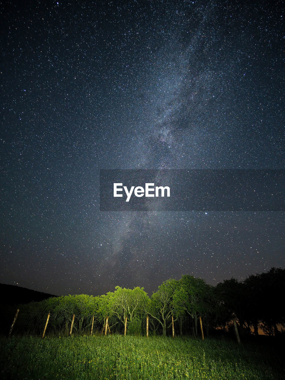 Scenic view of star field against sky at night