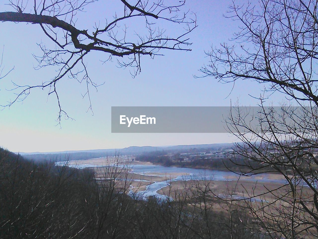 VIEW OF BARE TREES AT RIVERBANK