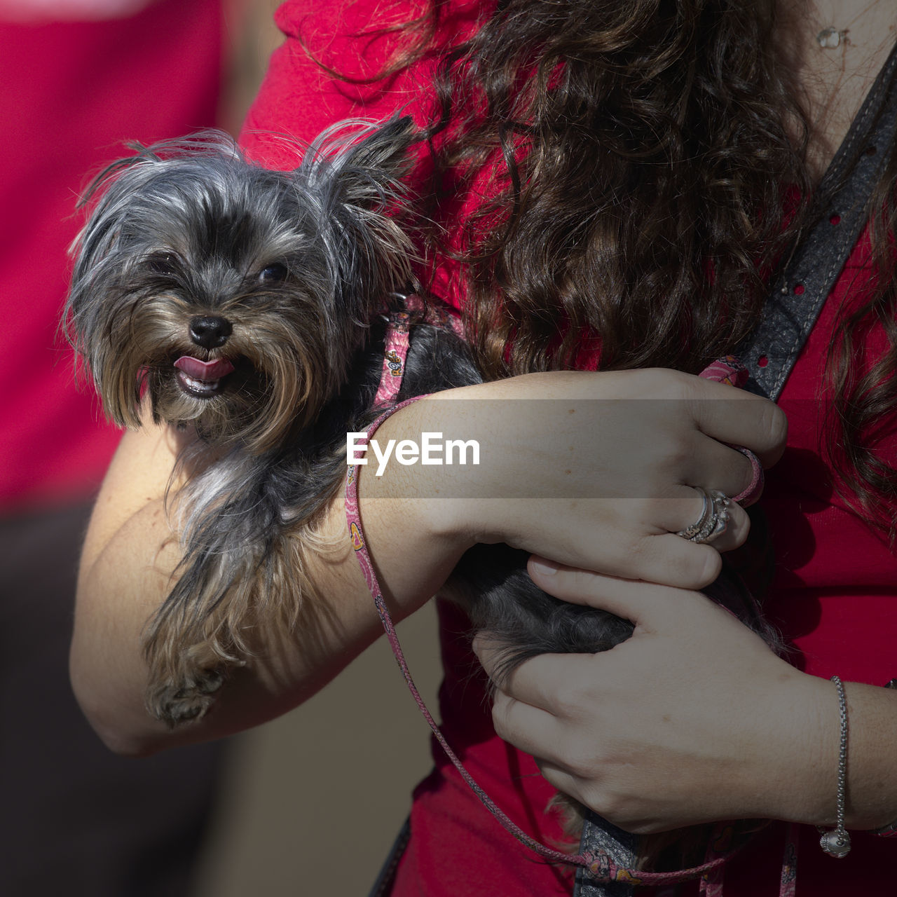 PORTRAIT OF WOMAN WITH DOG ON RED OUTDOORS