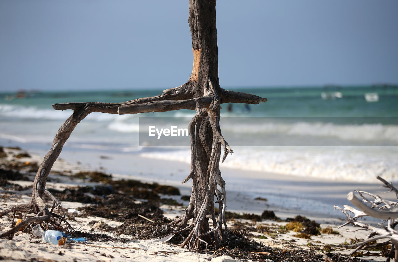 Close-up of tree trunk at beach against sky