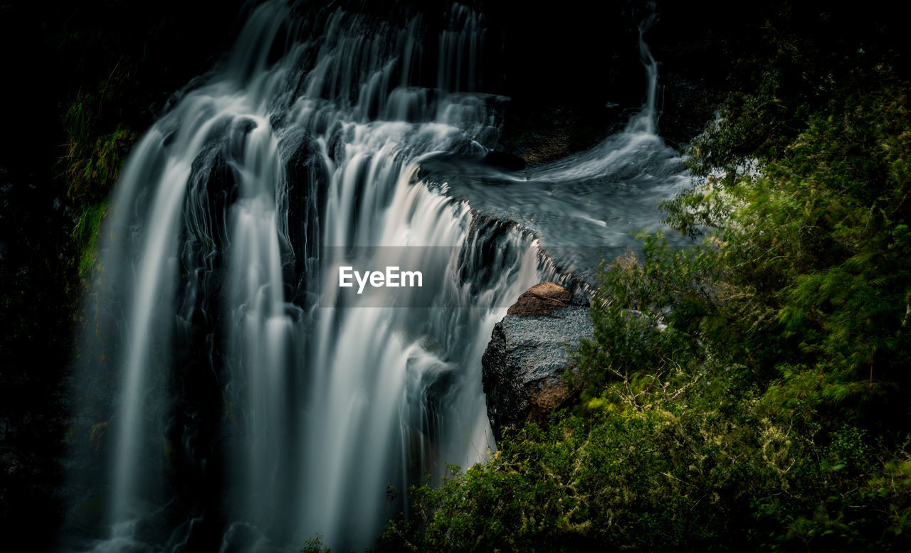 VIEW OF WATERFALL IN FOREST