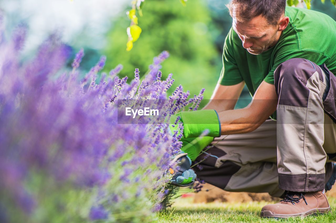 Mid adult man picking flowers in garden