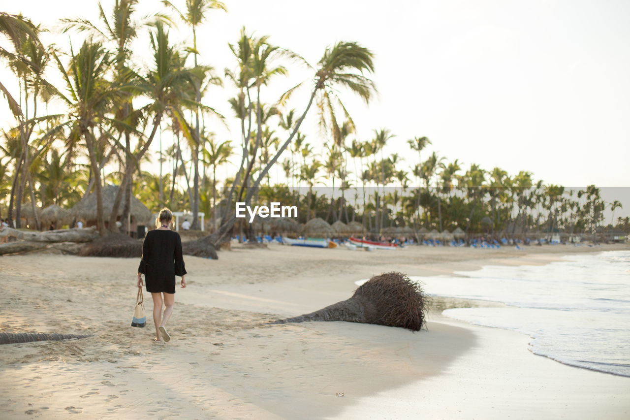 beach, land, palm tree, tropical climate, tree, sand, water, sea, nature, shore, rear view, full length, one person, plant, body of water, vacation, holiday, trip, sky, adult, coast, walking, leisure activity, beauty in nature, travel destinations, ocean, day, travel, lifestyles, tropics, outdoors, tranquility, women, scenics - nature, sunlight, men, coconut palm tree, person, relaxation, tourism, tranquil scene, casual clothing