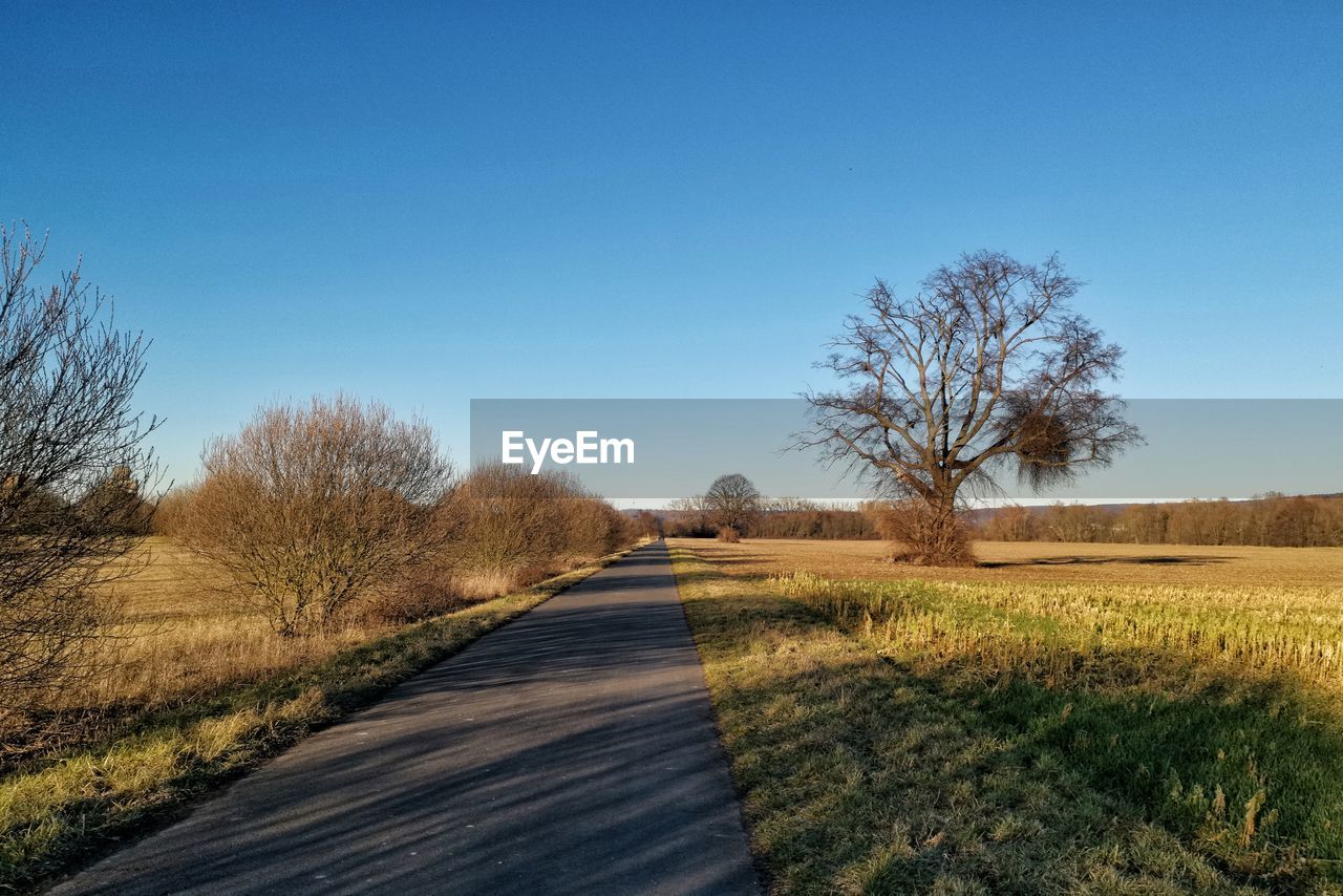 Road amidst trees on field against clear sky