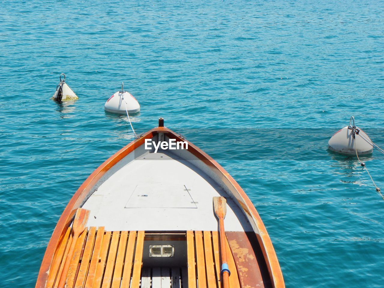 HIGH ANGLE VIEW OF SWANS PERCHING ON SEA