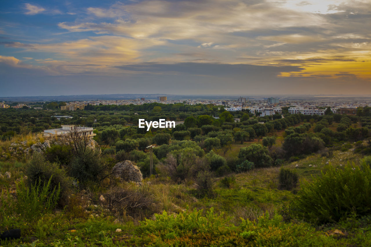 Scenic view of landscape against sky