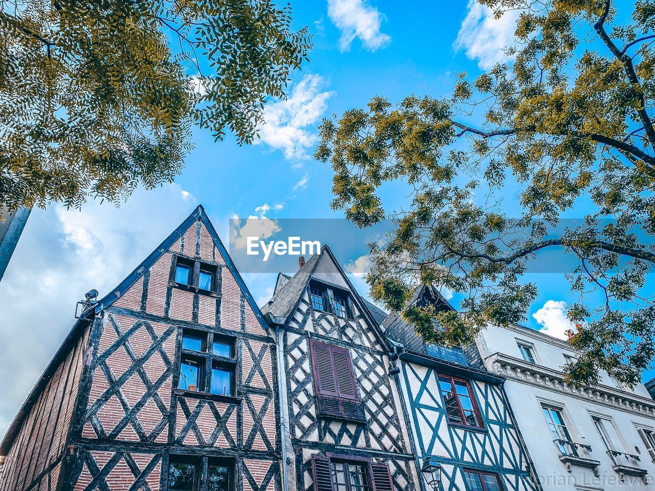 Low angle view of trees and building against sky