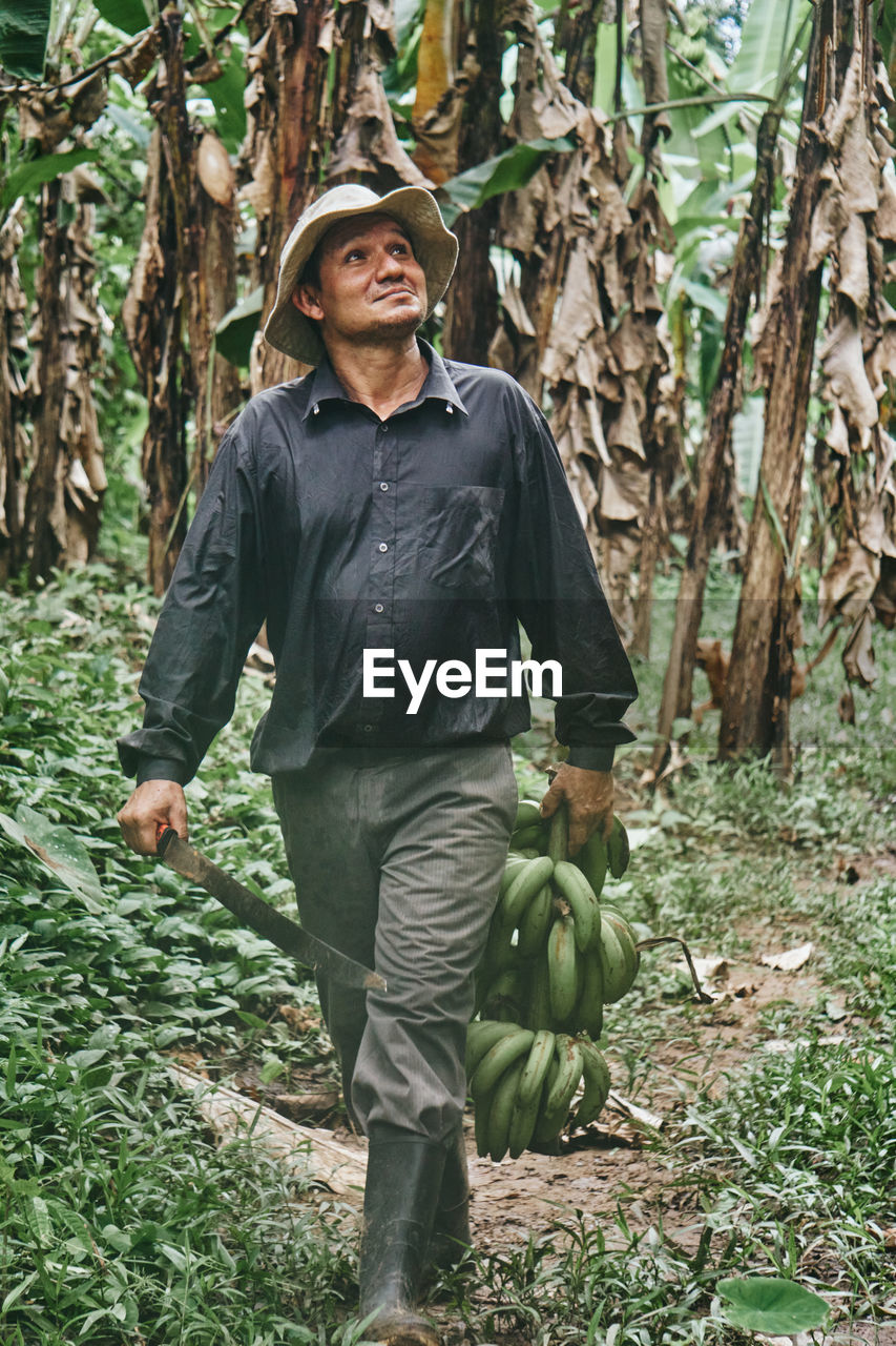 Full body hispanic man with machete and bunch of green bananas walking near trees and looking up on summer day on ecological farm in costa rica