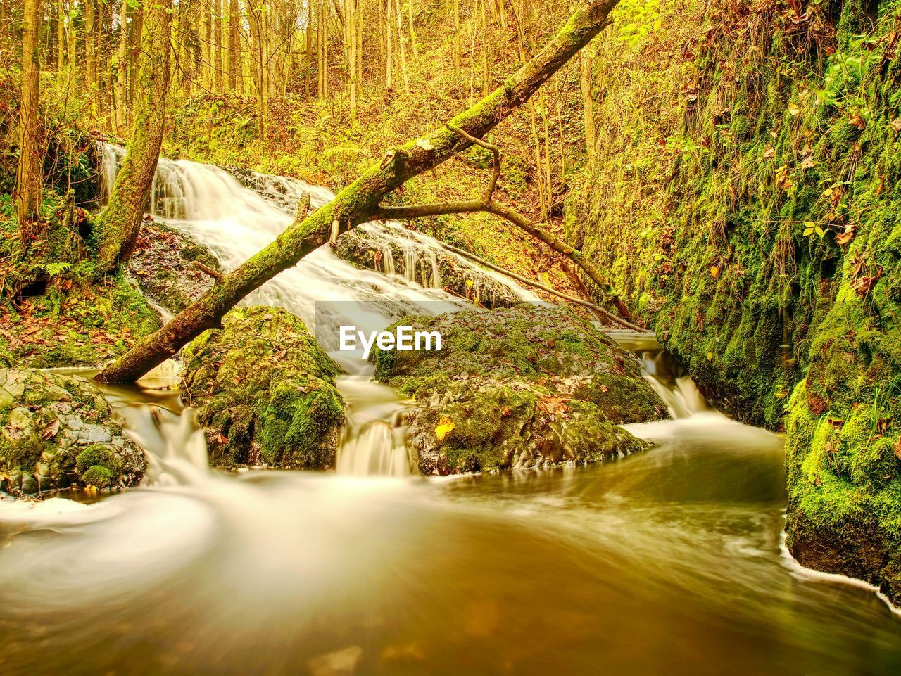 SCENIC VIEW OF WATERFALL