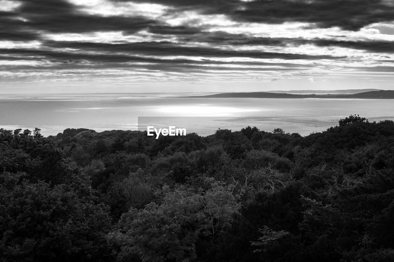 HIGH ANGLE VIEW OF CALM BEACH AGAINST SKY