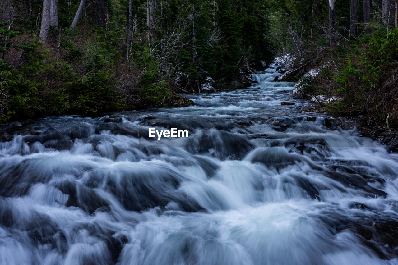 Stream flowing through rocks in forest