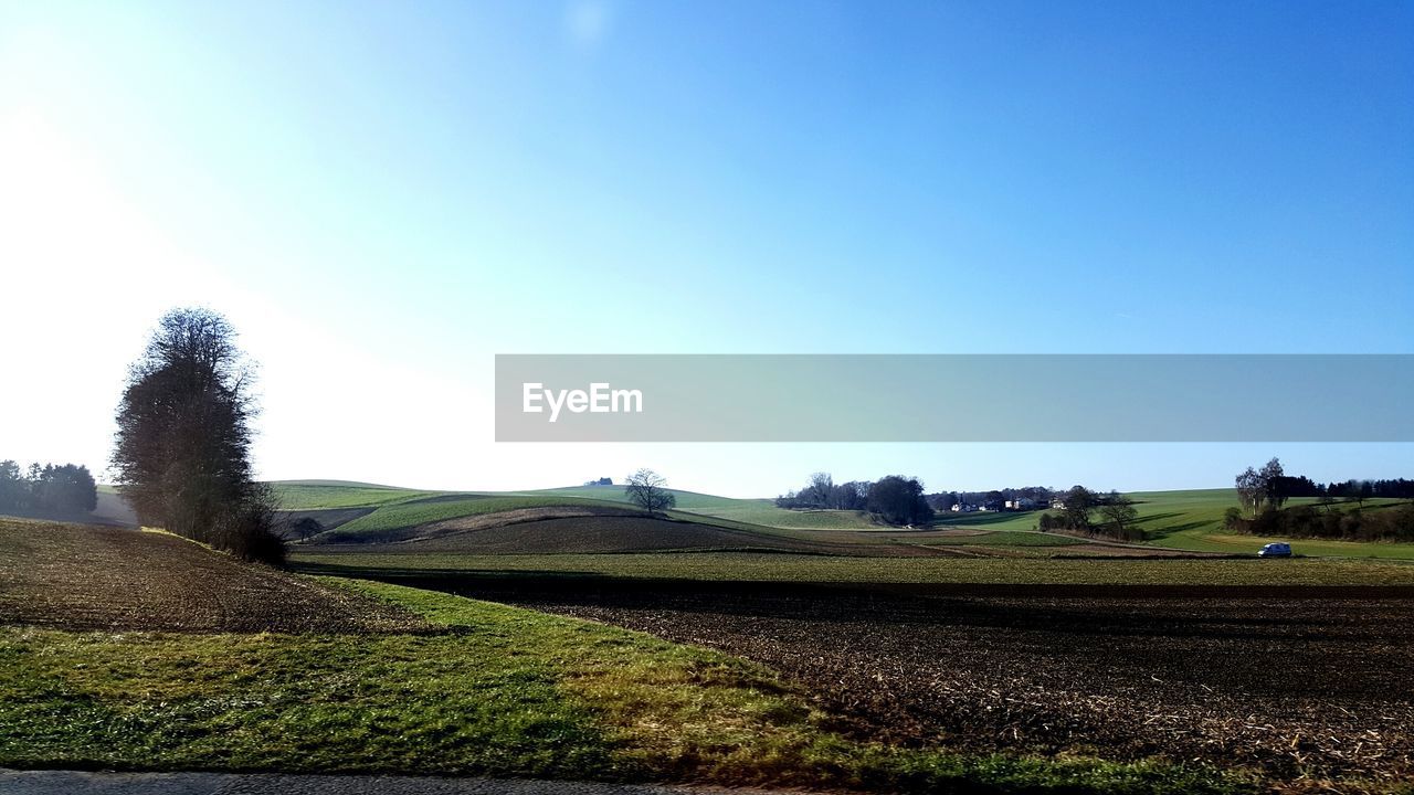 Agricultural field against clear sky