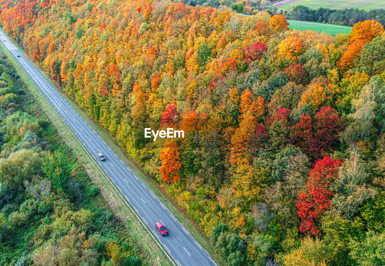 HIGH ANGLE VIEW OF AUTUMN LEAVES ON ROAD