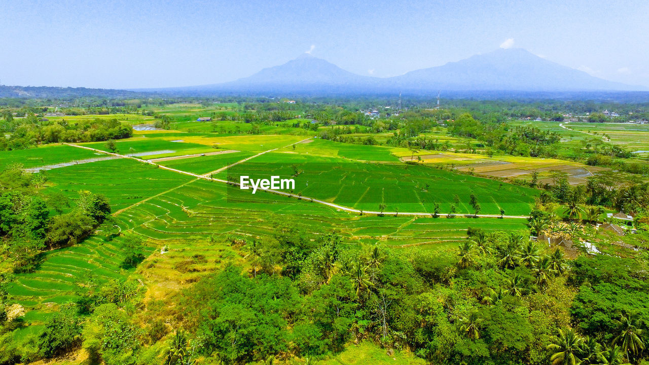 High angle view of agricultural field against sky