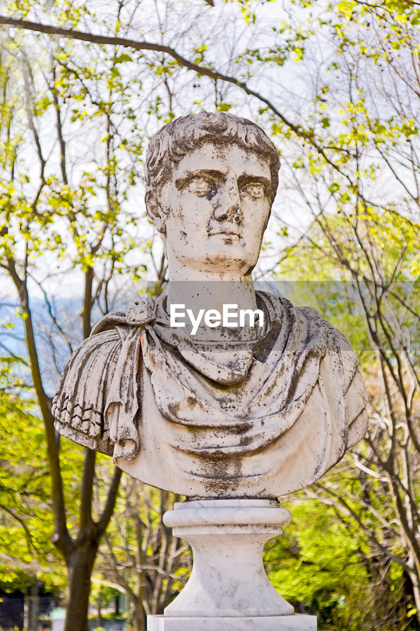 CLOSE-UP OF STATUE AGAINST TREE