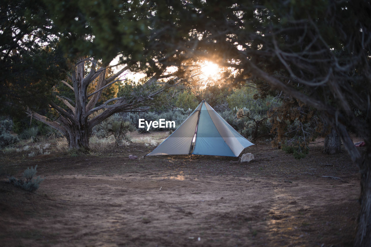 Tent on field in forest during sunset