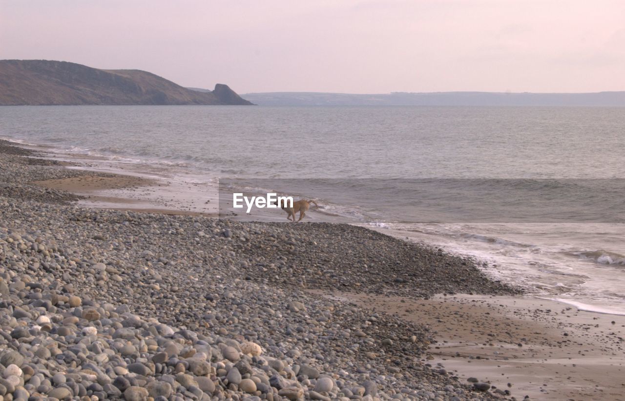 Scenic view of beach