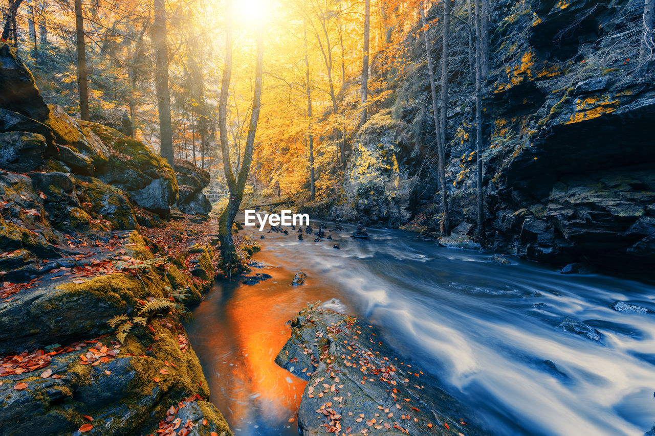 Stream flowing through rocks in forest during autumn