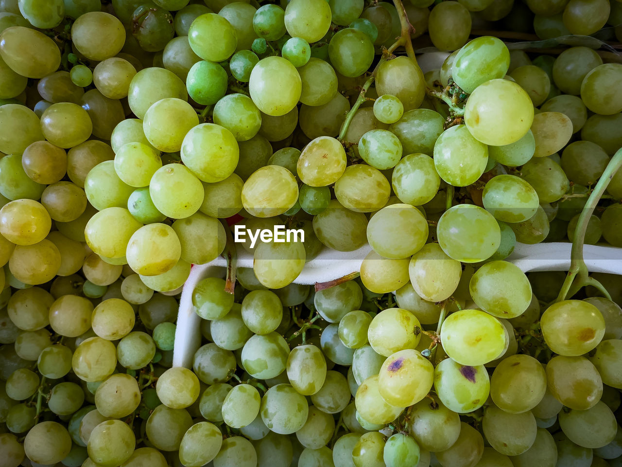 food and drink, grape, food, healthy eating, agriculture, plant, fruit, freshness, sultana, wellbeing, green, abundance, produce, large group of objects, no people, olive, backgrounds, close-up, crop, still life, green olive, full frame, organic, high angle view, nature, market, retail