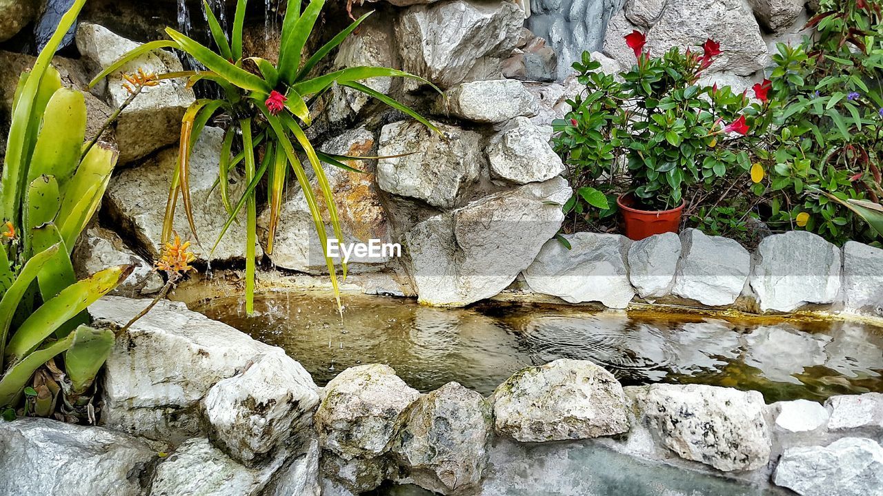 Pond amidst rocks in park