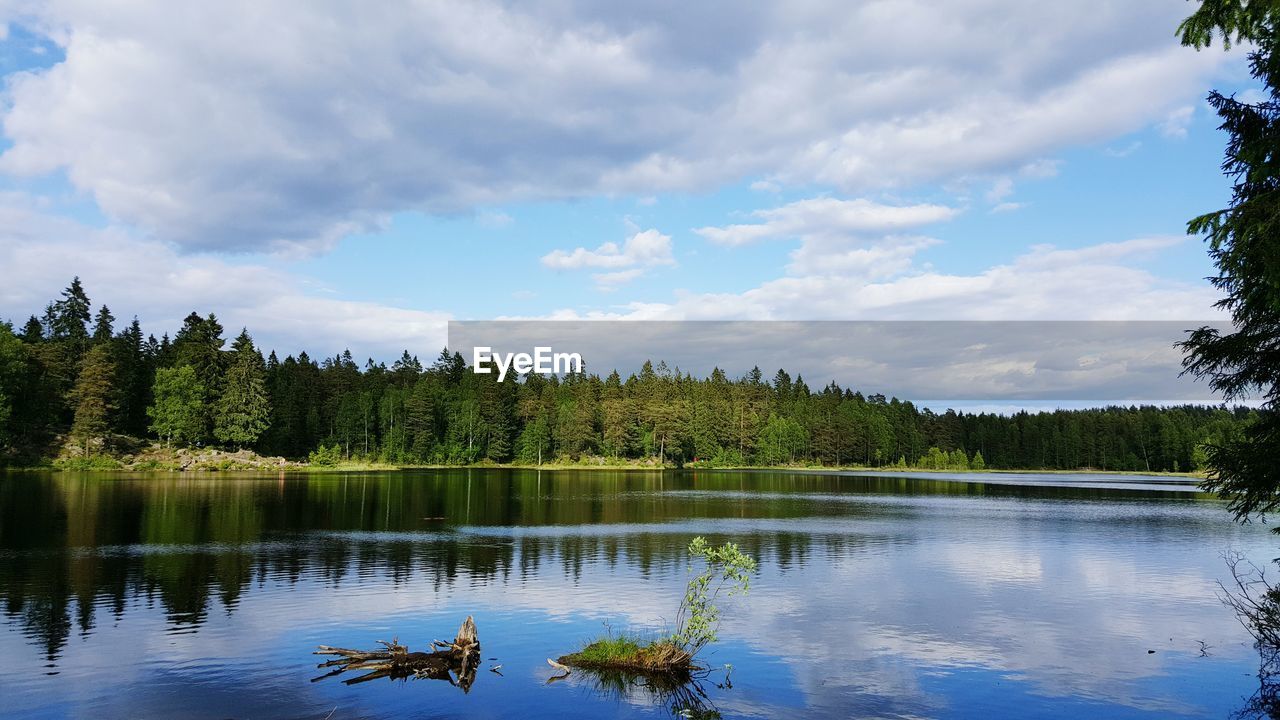 Reflection of trees in river against cloudy sky