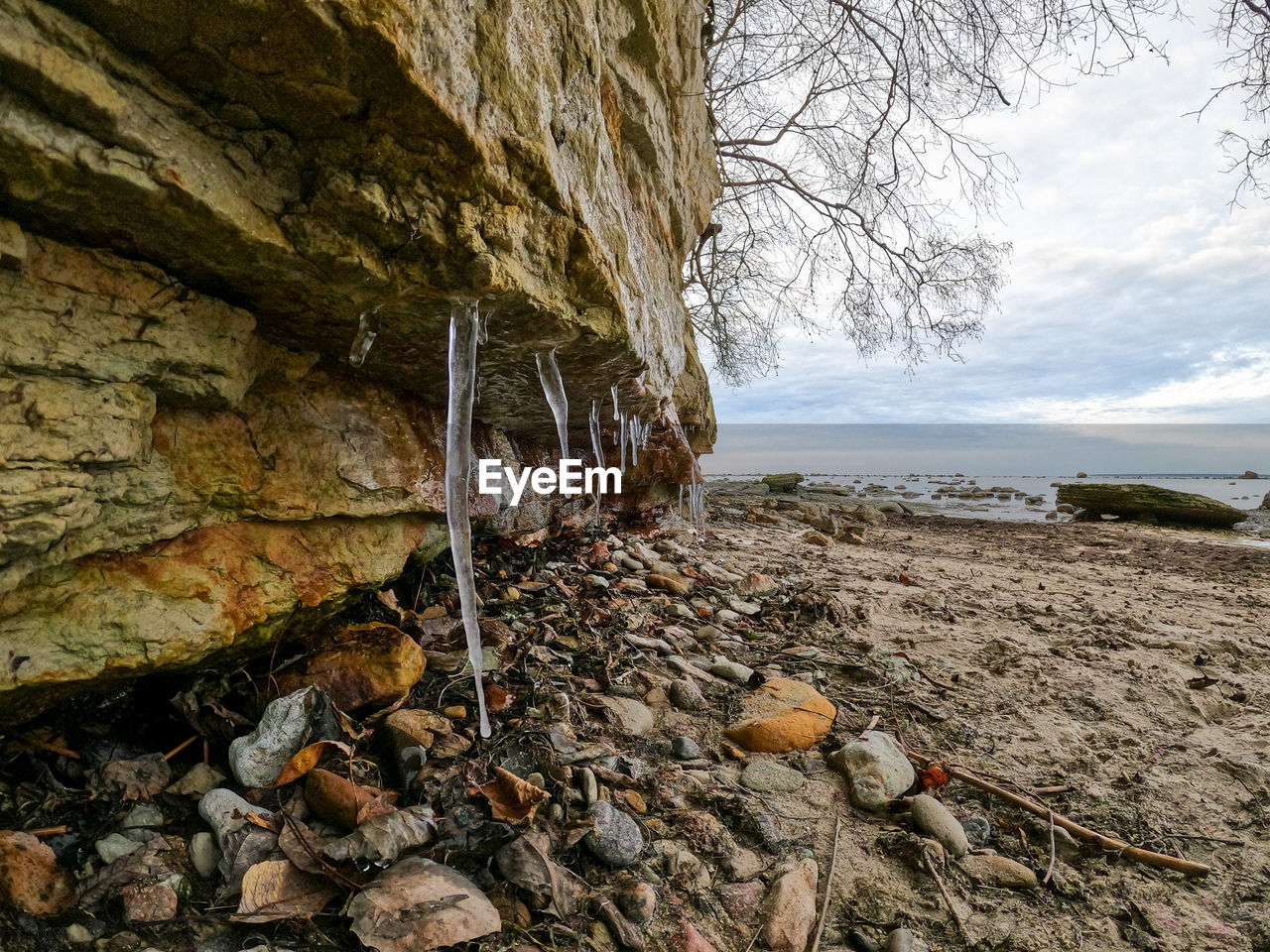 SURFACE LEVEL OF ROCKS ON FIELD