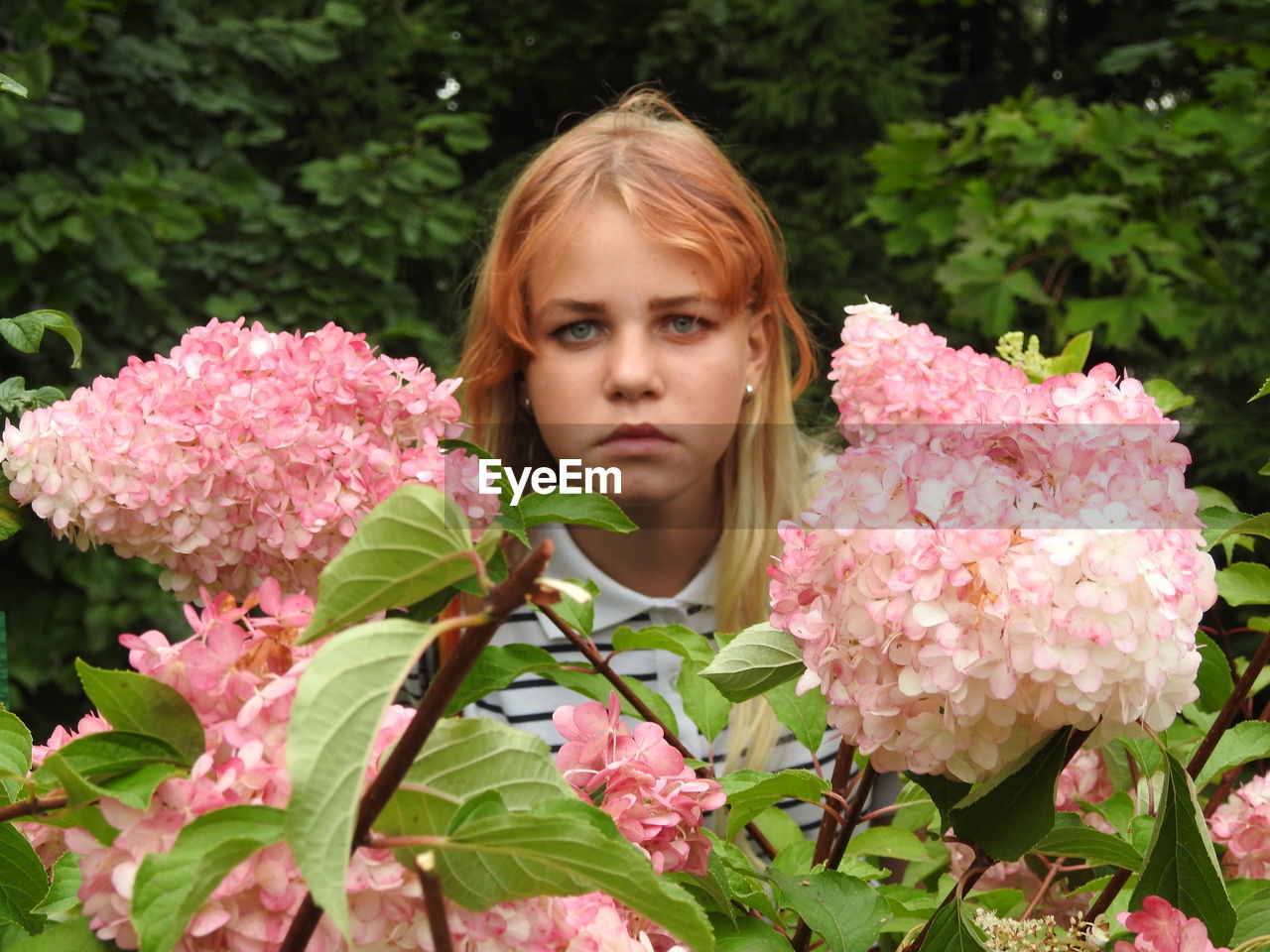 Portrait of girl by pink flowering plants