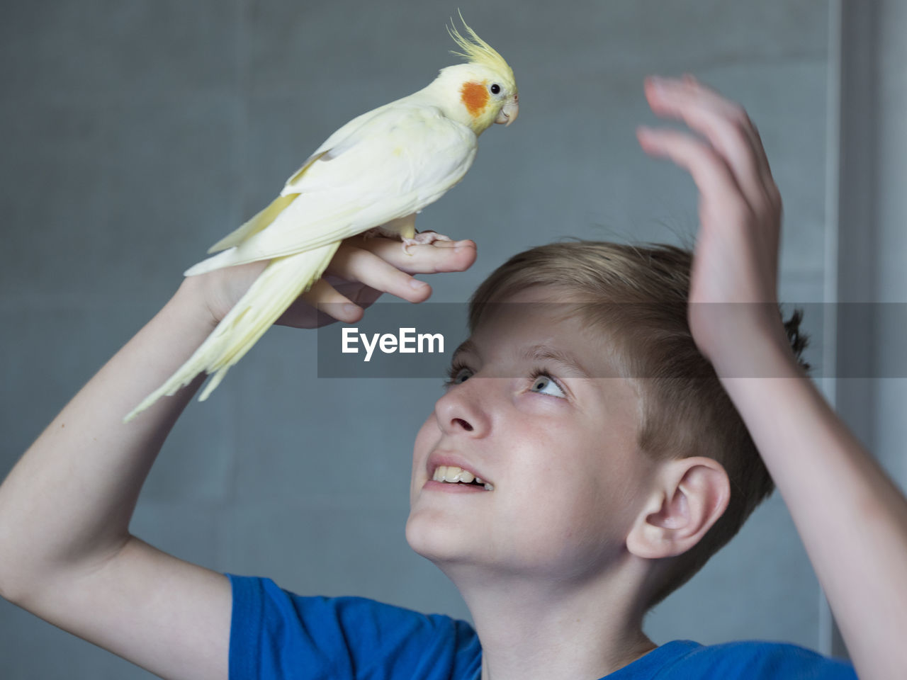 Portrait of happy caucasian teenager with parrot on gray background