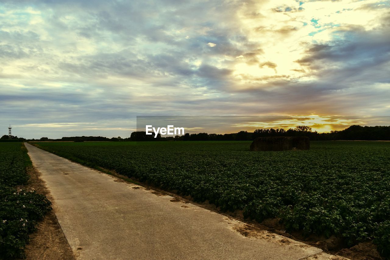 FIELD AGAINST SKY DURING SUNSET