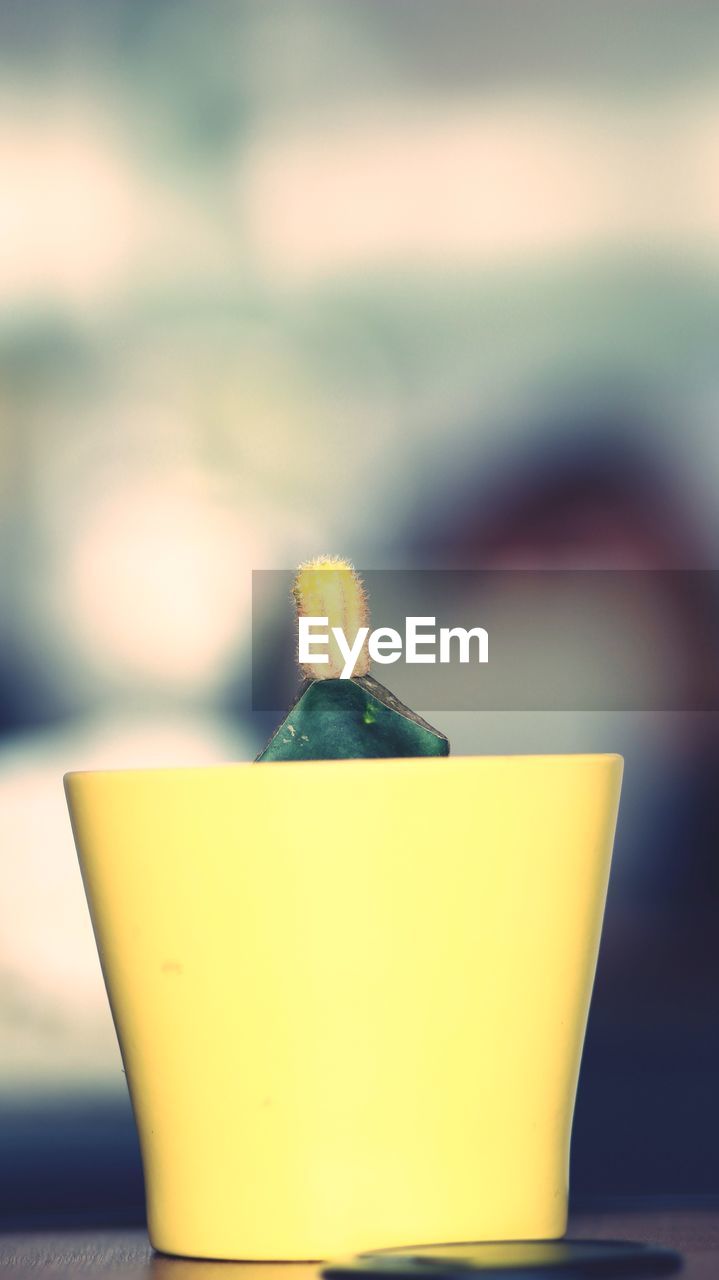 CLOSE-UP OF YELLOW WATER AGAINST BLURRED BACKGROUND