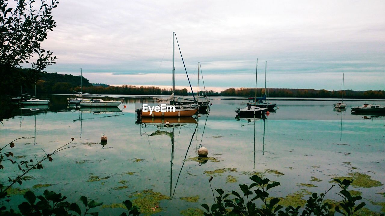 SAILBOATS IN MARINA