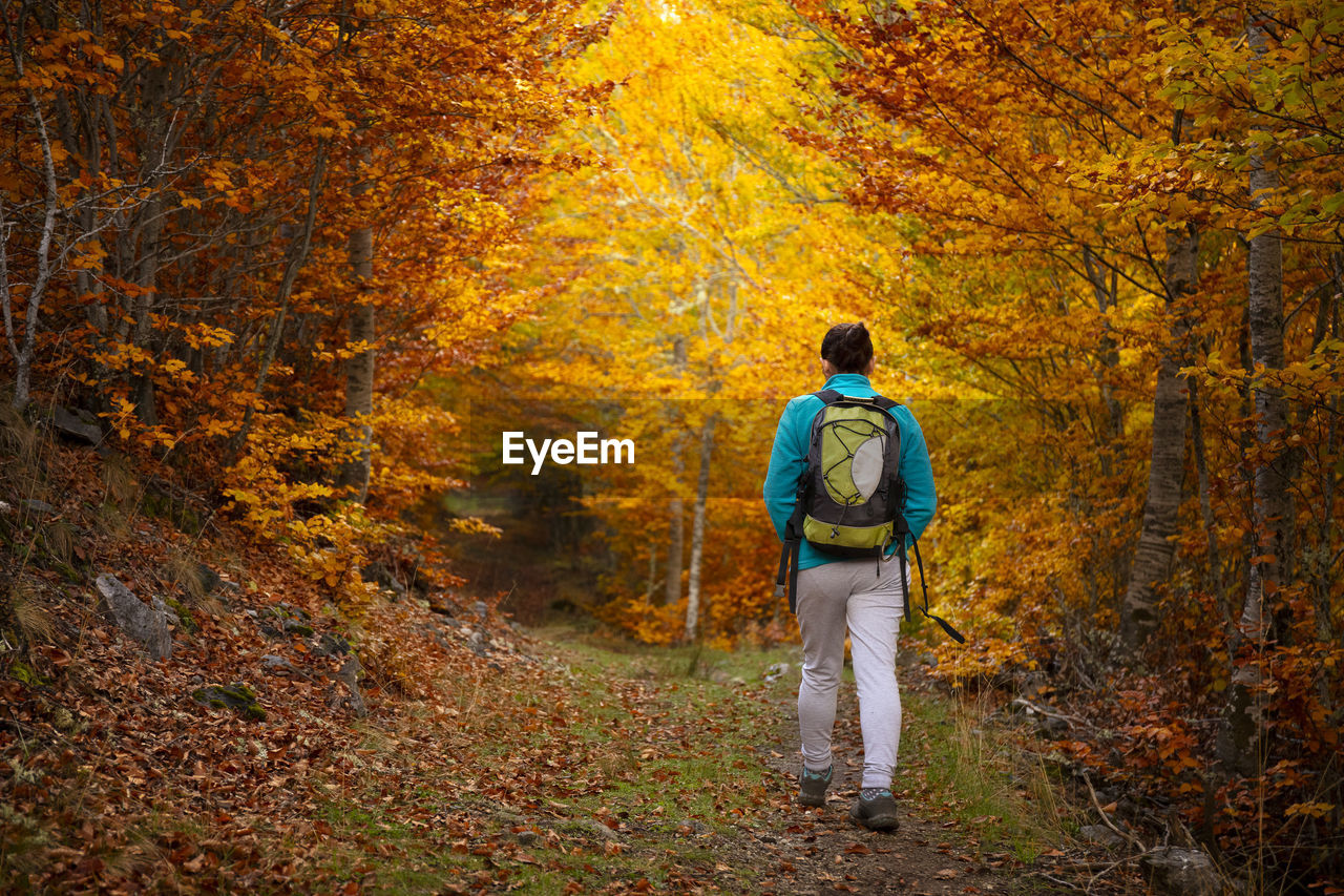 Woman walking through a spectacular forest in autumn