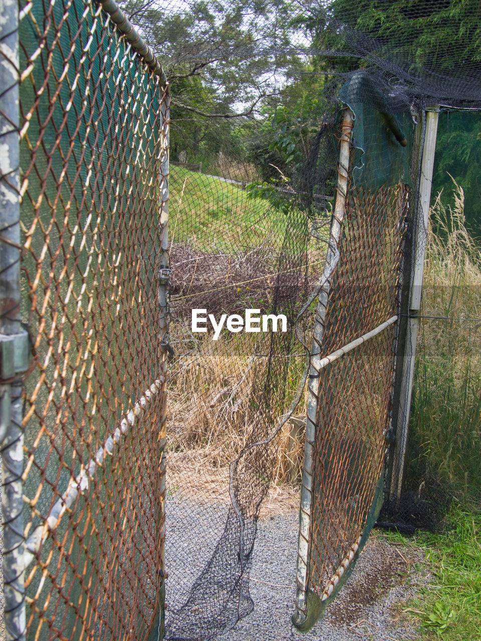 CHAINLINK FENCE AGAINST GREEN WALL