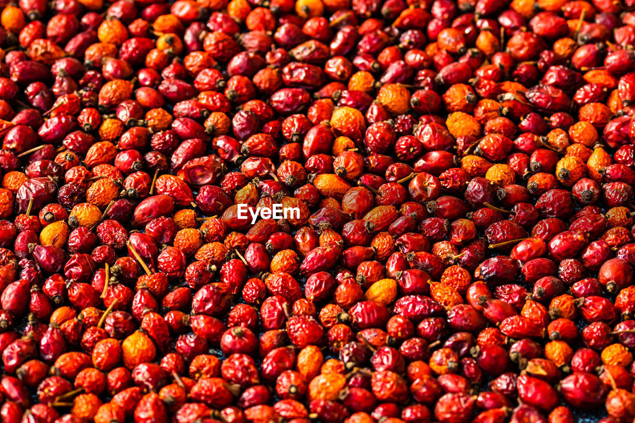 Full frame shot of berries