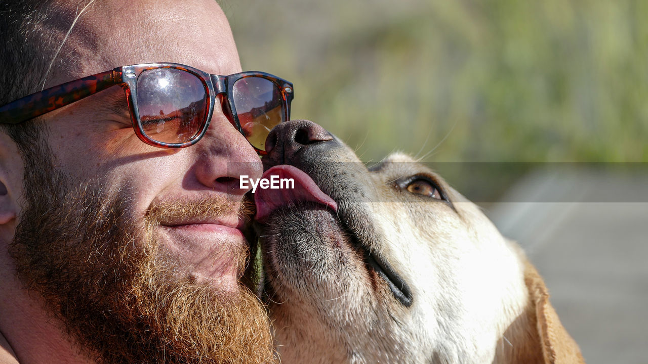 CLOSE-UP PORTRAIT OF DOG WEARING SUNGLASSES OUTDOORS