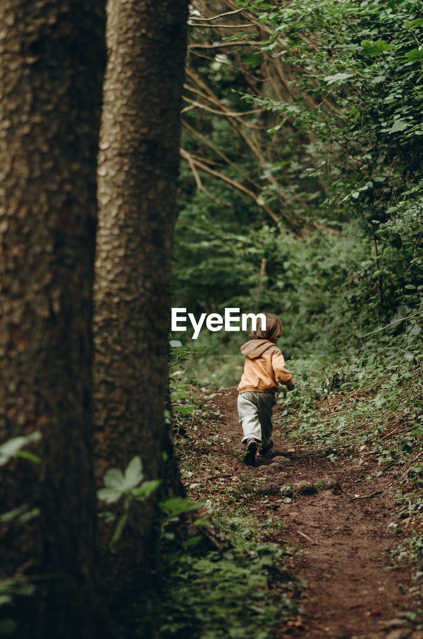 Little boy walking in forest