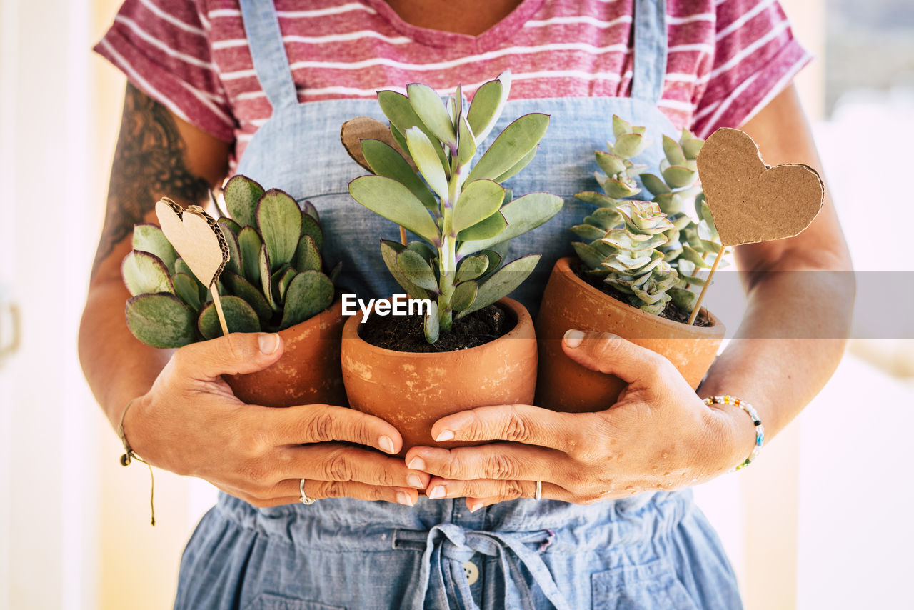 Midsection of woman holding potted plants