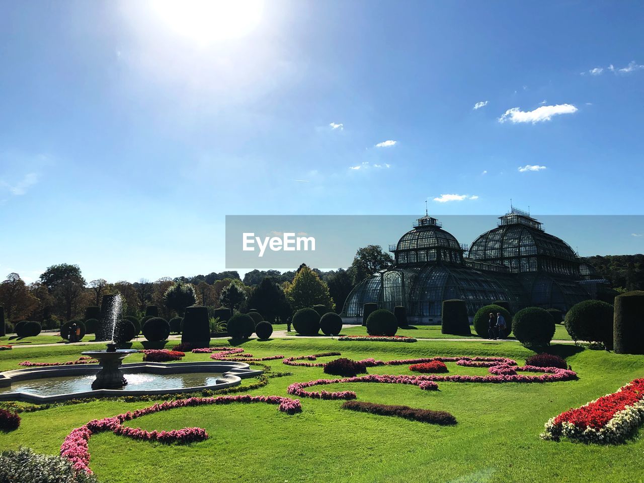 PANORAMIC VIEW OF GARDEN WITH TREES IN BACKGROUND