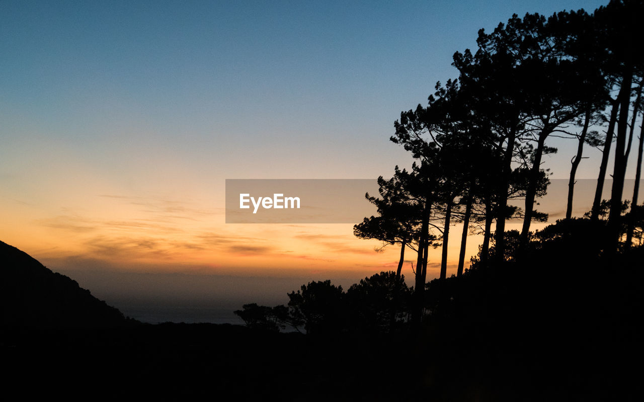 LOW ANGLE VIEW OF SILHOUETTE TREES AGAINST SKY