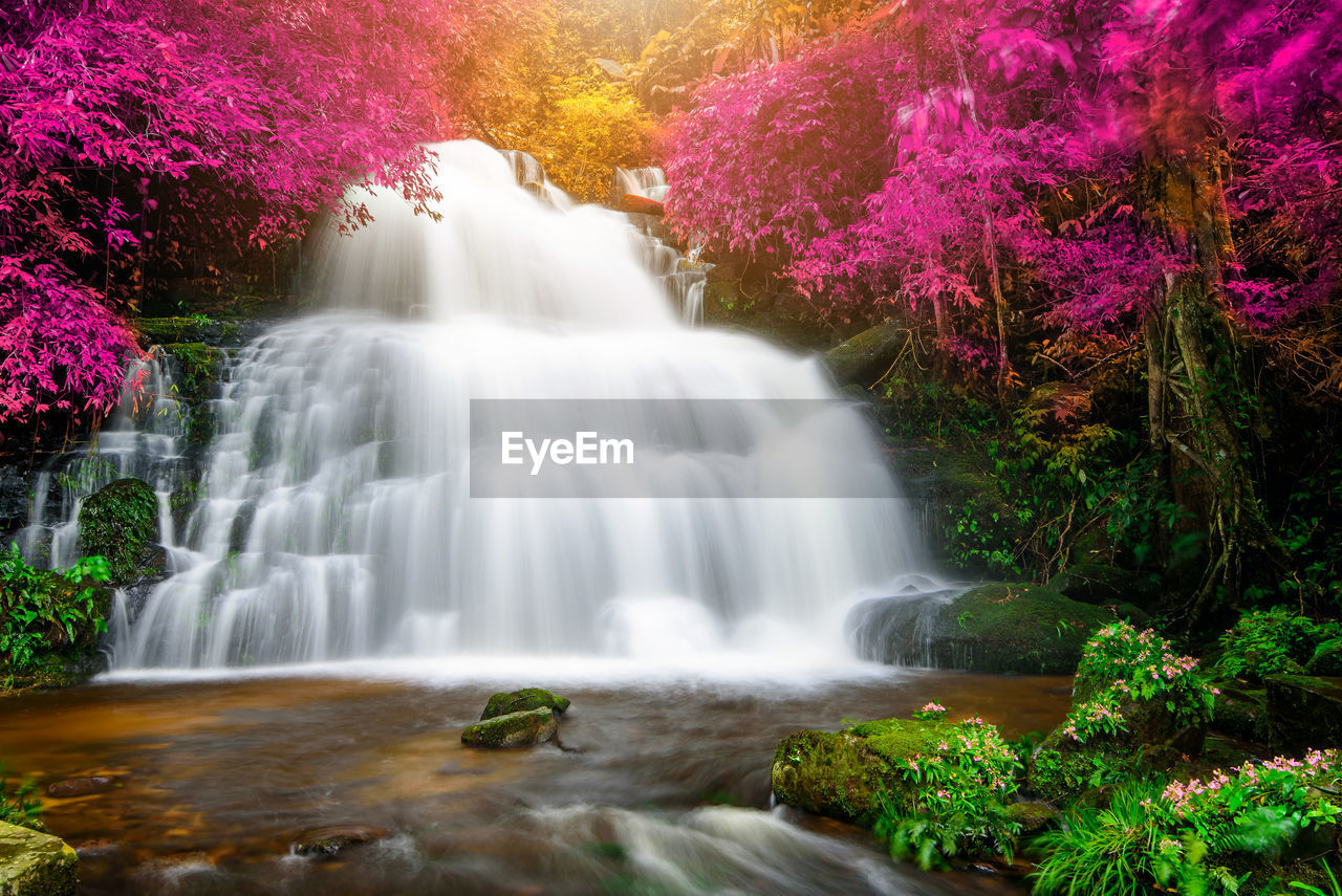 WATERFALL IN FOREST