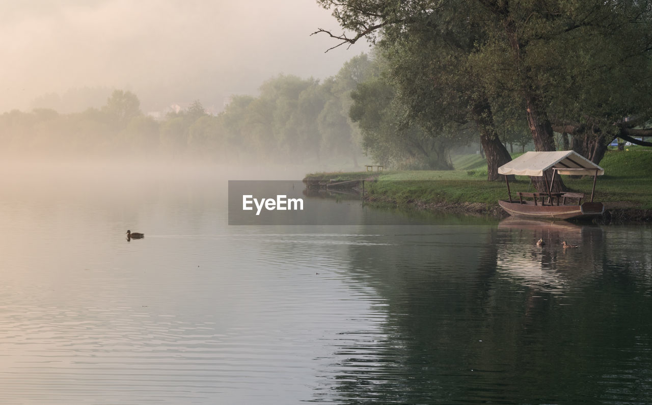 VIEW OF DUCKS ON LAKE