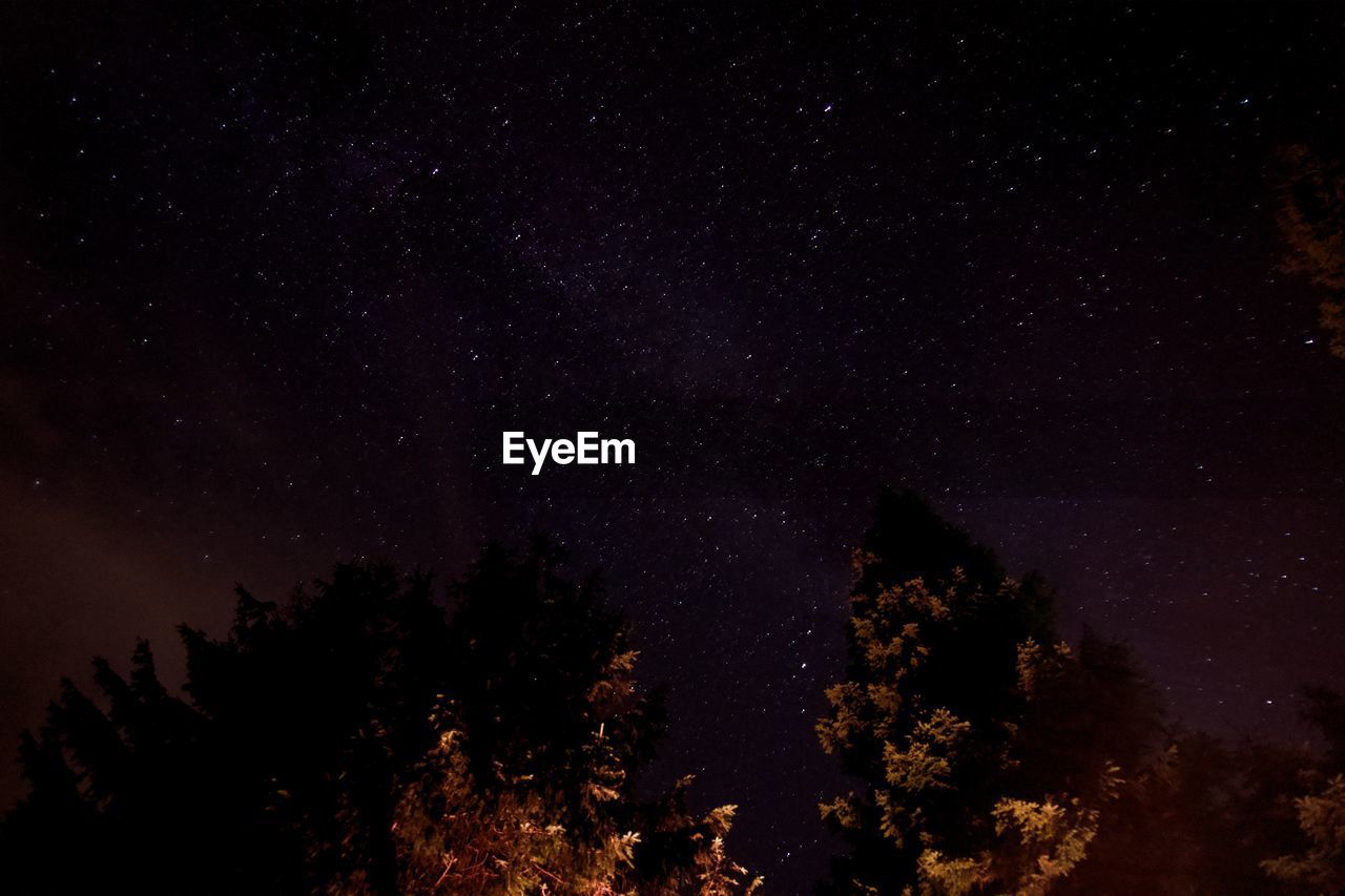 Low angle view of silhouette trees against star field at night