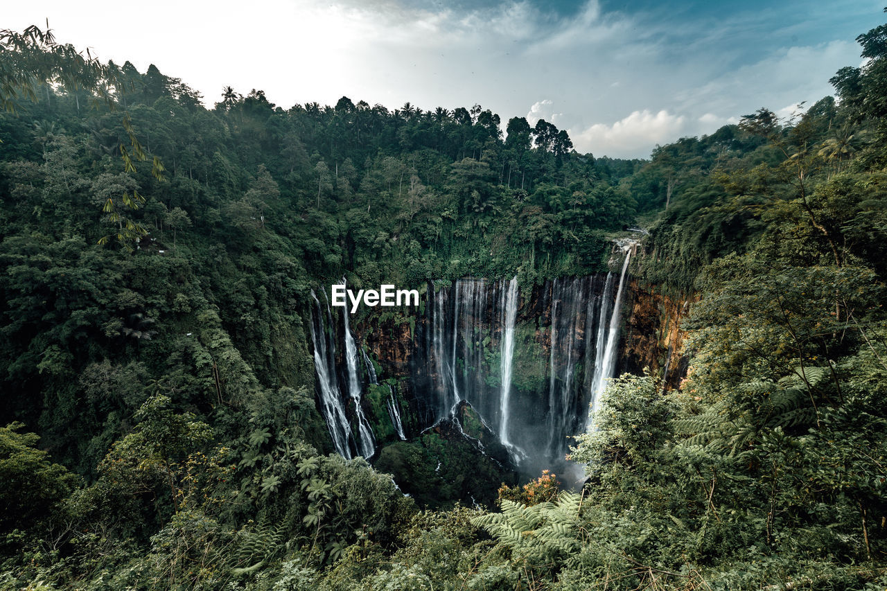 SCENIC VIEW OF WATERFALL AT FOREST