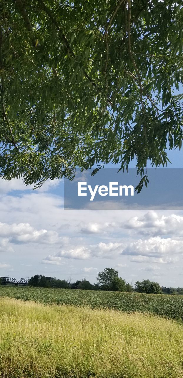 SCENIC VIEW OF LAND AGAINST SKY