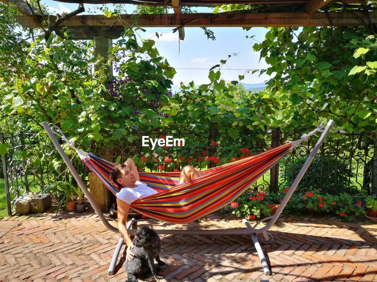 Man on hammock against trees