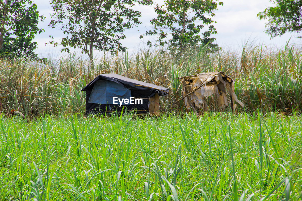 HOUSE IN FIELD